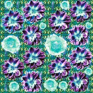 Meet your Posher, Rose